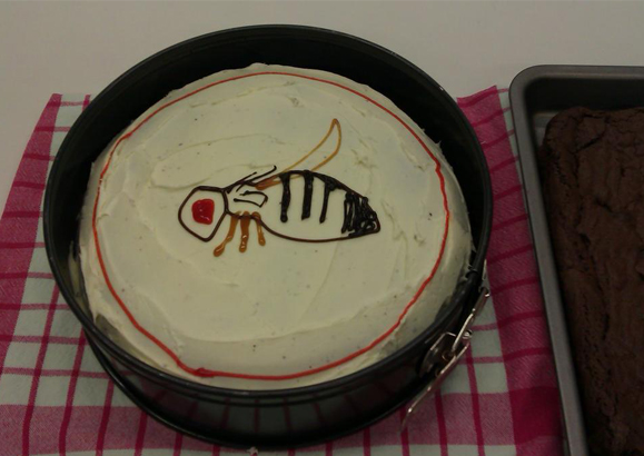 Fly Cake