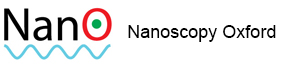 Nano Logo